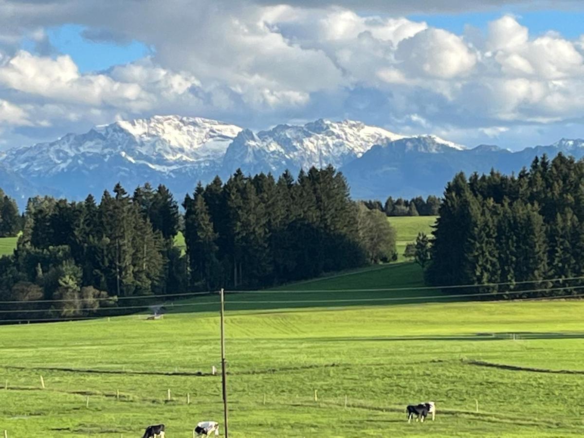 Allgaeu 