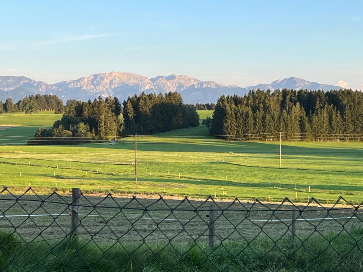 Allgaeu 