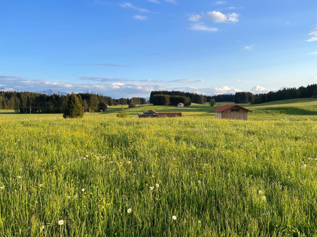 Allgaeu 