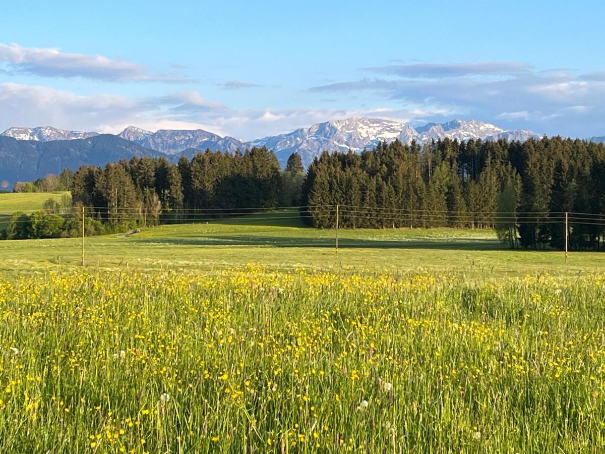 Allgaeu 